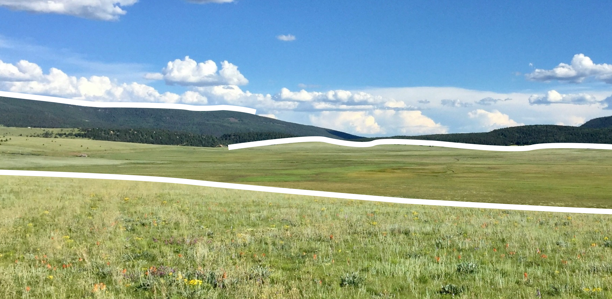 Иллюстрация к статье - Что такое сельские территории Что такое сельские территории